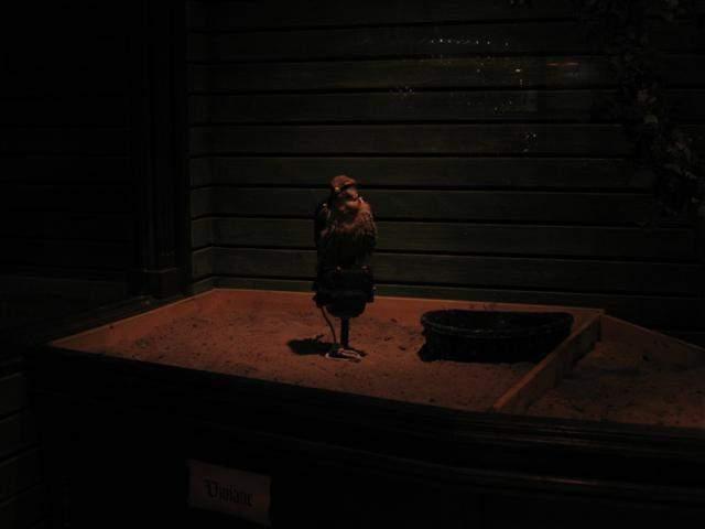 Medieval Times - Shannons 23rd Bday 07.JPG